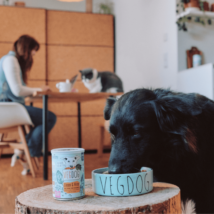 vegdog-adult2