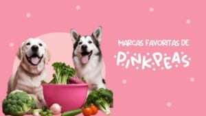 portada-blog-marcas-favs