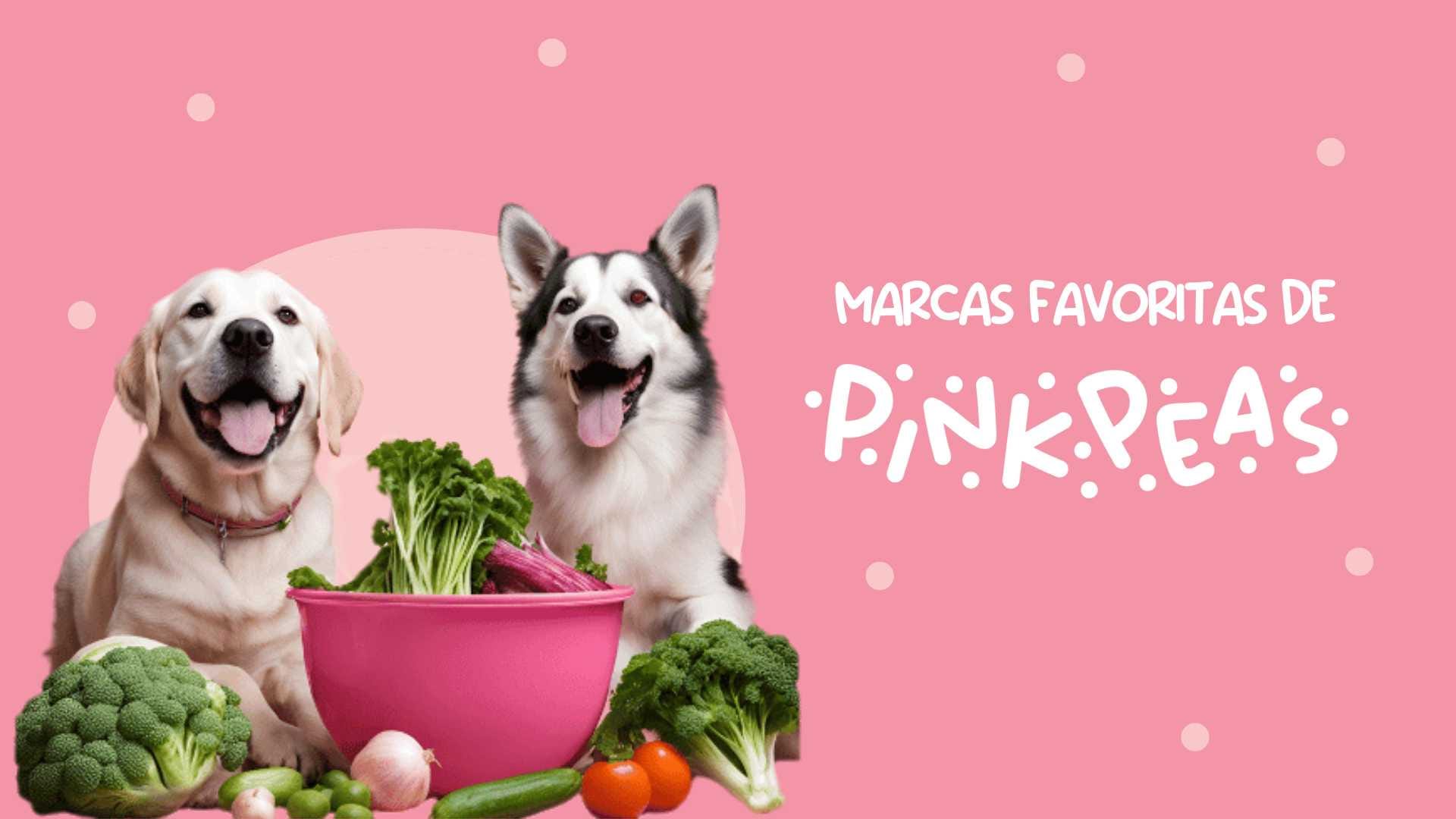 portada-blog-marcas-favs