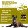 Super Snouts Lion's Roar - Regula el sistema inmune - Imatge 4