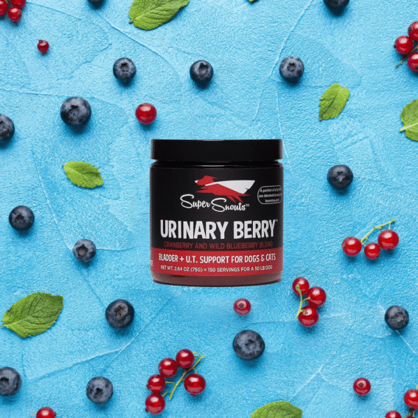 Super Snouts Urinary Berry - Ayuda al tracto urinario - Imatge 3
