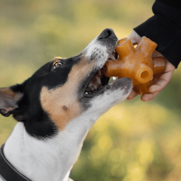 Rub Juguete Free Jump de resina natural para perros - Imagen 10