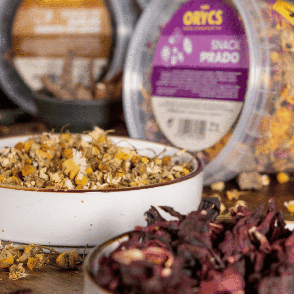 Snack Orycs Prado - Imatge 2