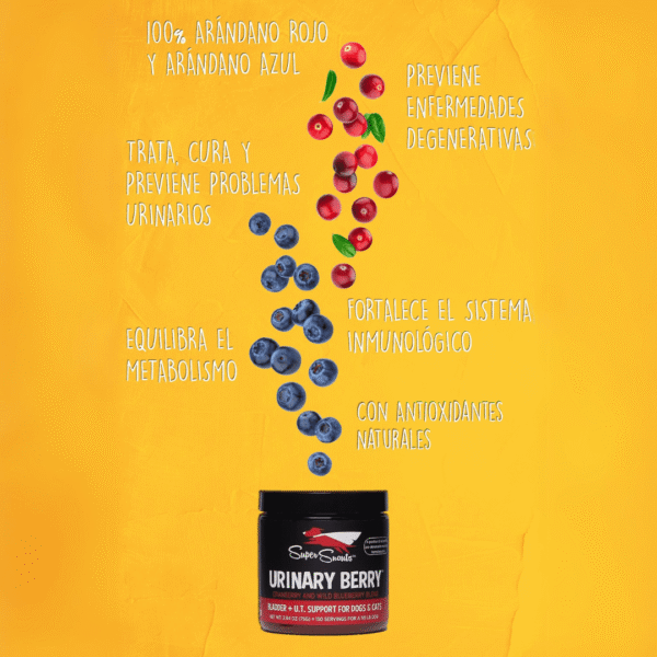 Super Snouts Urinary Berry - Ayuda al tracto urinario - Imatge 5