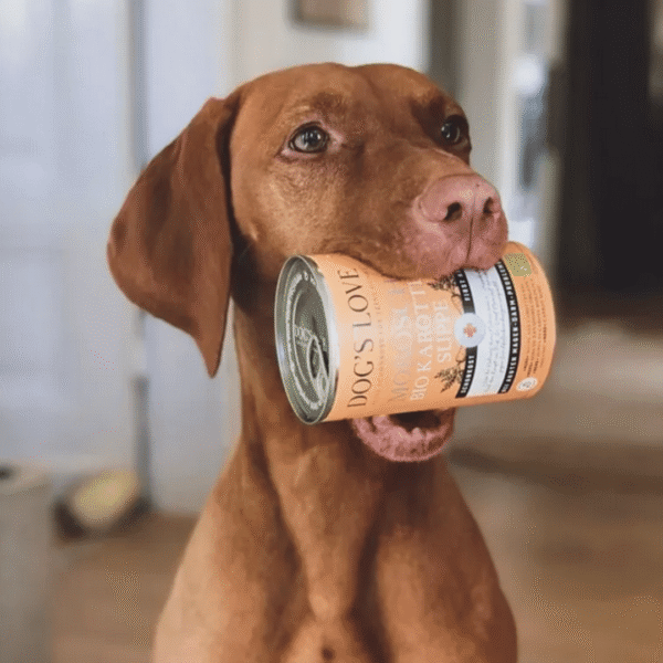 Dog's Love Vet Sopa de Moro Crema de Zanahoria - Imagen 2