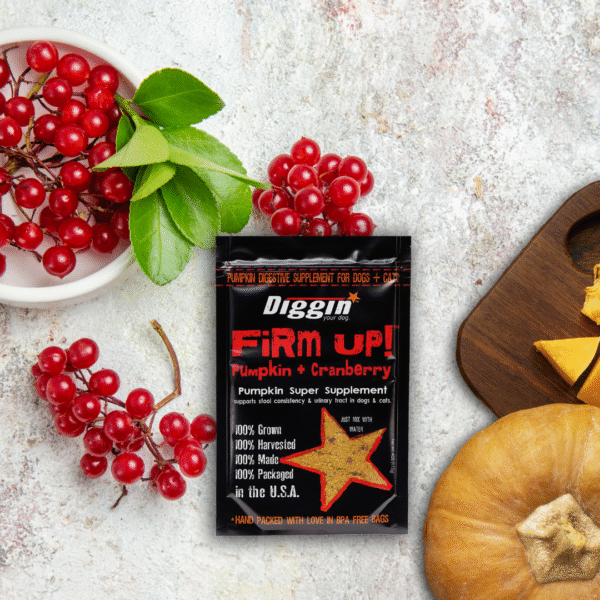 Firm Up! Calabaza y Arándano – Regulador Gastrointestinal - Imatge 2