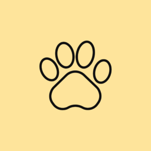 Consulta con nuestra veterinaria nutricionista - Senior