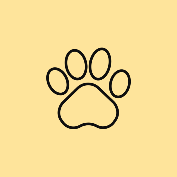 Consulta con nuestra veterinaria nutricionista - Senior