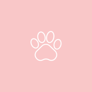 Consulta con nuestra veterinaria nutricionista - Pack cachorro