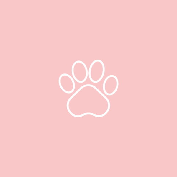 Consulta con nuestra veterinaria nutricionista - Pack cachorro