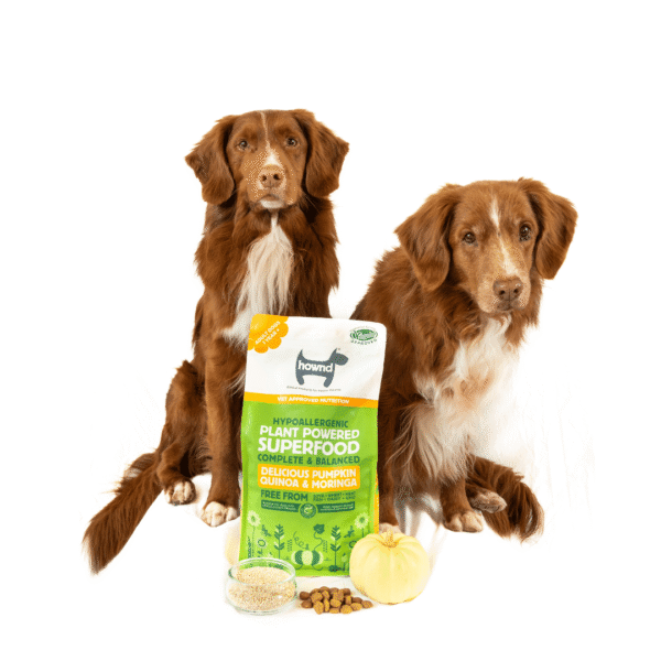 Hownd Superfood Pienso para perros calabaza, quinoa y moringa - Imagen 3