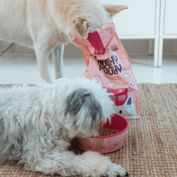 Noochy Poochy Adult Queso y Hierbas - Pienso para perros - Imatge 5