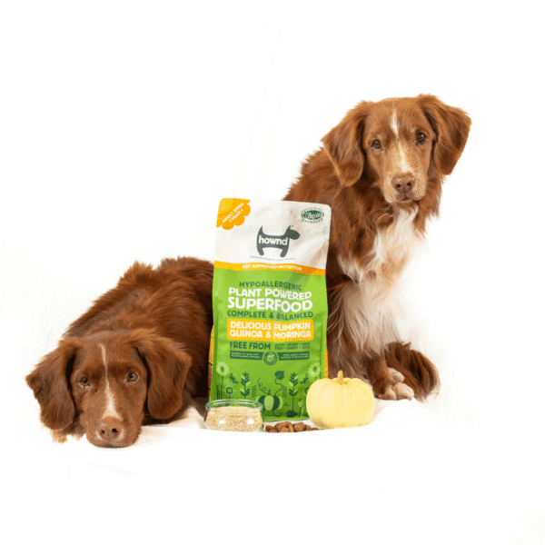 Hownd Superfood Pienso para perros calabaza, quinoa y moringa - Imagen 4
