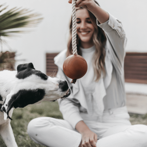 Rub Juguete Ball & Rope Pelota vegana con cuerda para perros - Imatge 5