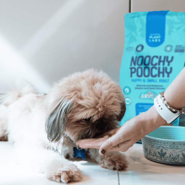 Noochy Poochy Cachorros y Adultos pequeños Umami Herby Bites - Imagen 4
