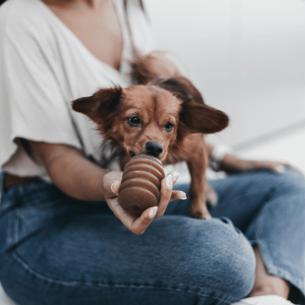 Rub Juguete Jumpty Dumpty de resina natural para perros - Imagen 5