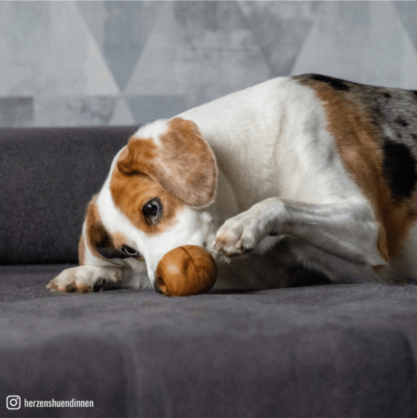 Olivi Pelota de madera para snacks Juguete de madera de olivo para perros - Imatge 3