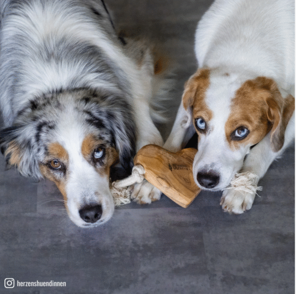 Olivi Corazón de Madera de Olivo. Juguete con cuerda Perros - Imagen 2