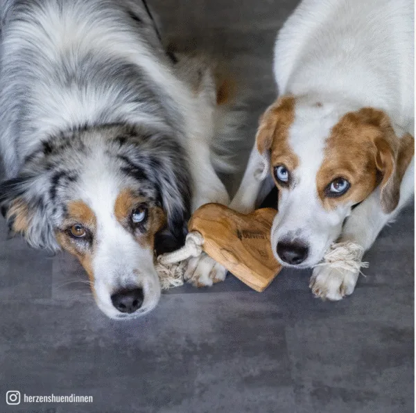Olivi Corazón de Madera de Olivo. Juguete con cuerda Perros - Imagen 2