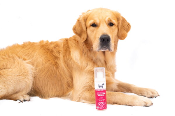 Hownd Got an itch Champú acondicionador para pieles sensibles - Imagen 2