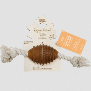 Rub Juguete Rugby Spike de resina natural para perros
