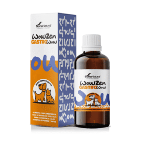 GastroWow Perros y Gatos - Suplemento digestivo