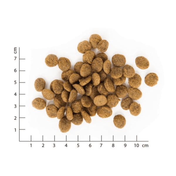 VEGDOG Green Crunch Pienso vegano para perros - Imatge 2
