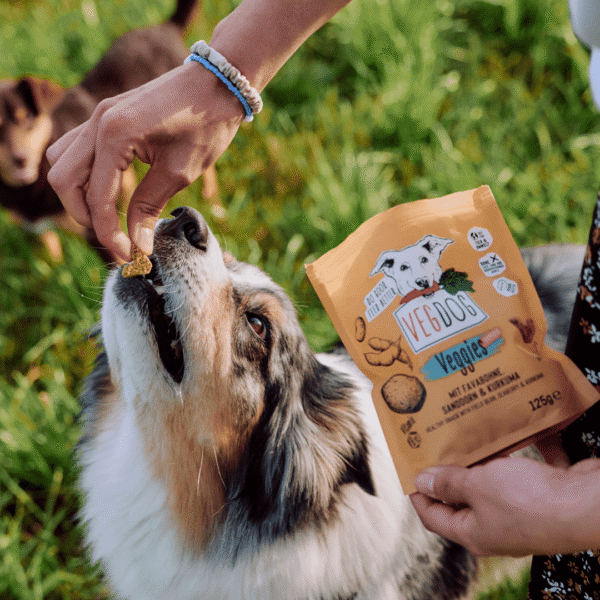 VEGDOG Veggies Immune Snack con patata y habas - Imatge 3