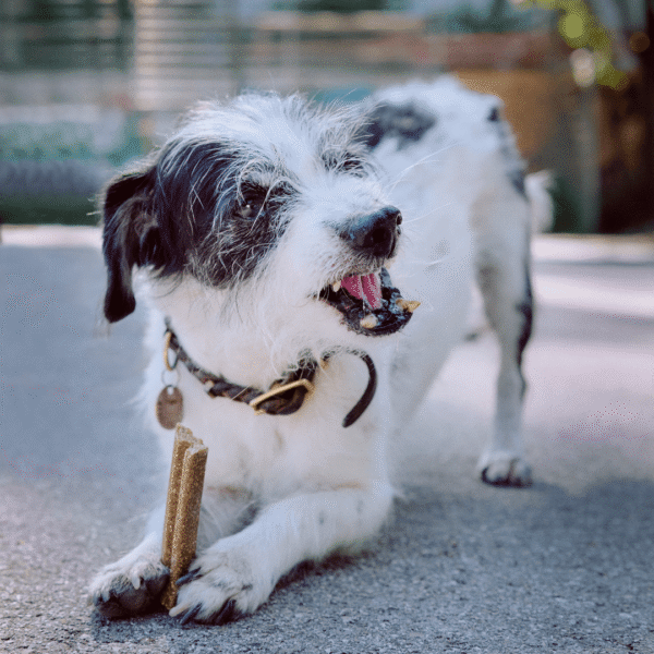 VEGDOG Mobilities Snack con Patata para articulaciones - Imagen 2
