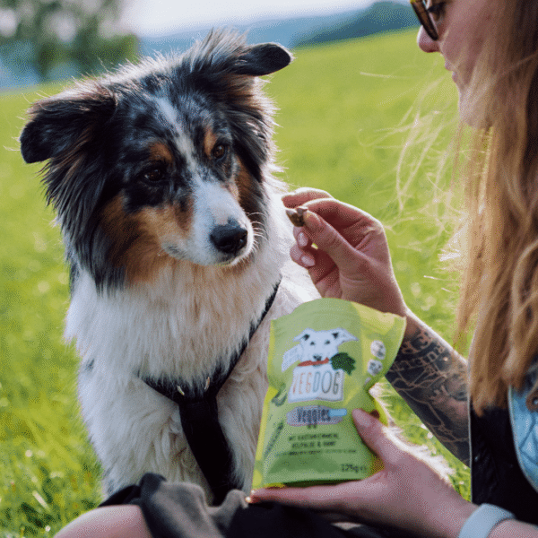 VEGDOG Veggies Skincare Snack Castaña y Guisante para Perro - Imagen 3
