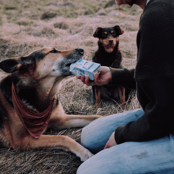 VEGDOG Adult Tetrapak Guisantes y Avena para perros 200g - Imagen 2