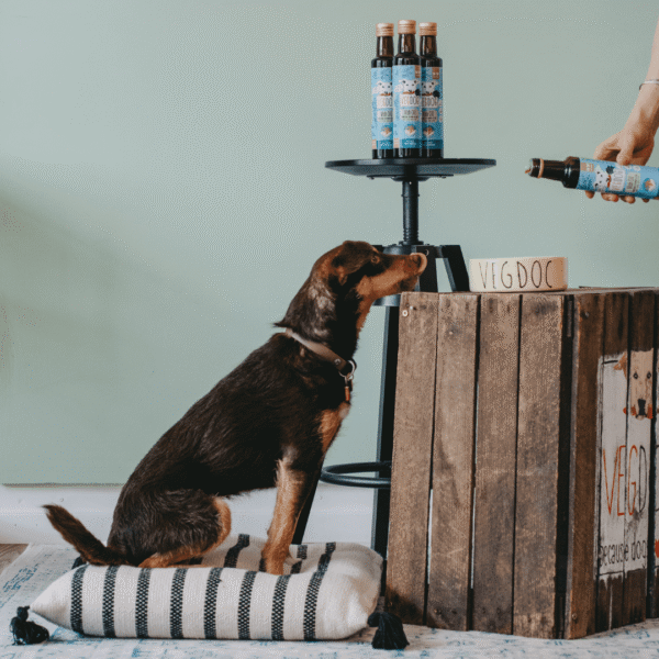 VEGDOG Vish Oil Suplemento nutricional a base de aceites - Imagen 3