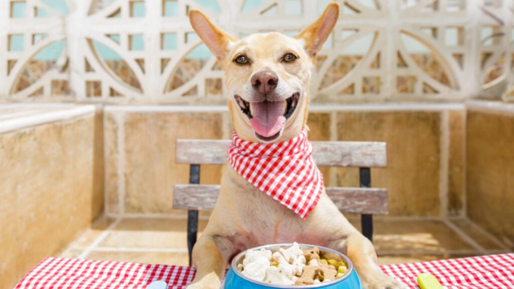 Comida- veganas-imagen