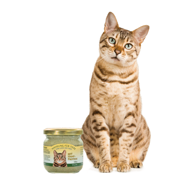 Pack de 3 Tarros de alimento húmedo para gatos con cáñamo - Nahrung für tiere - Imagen 3