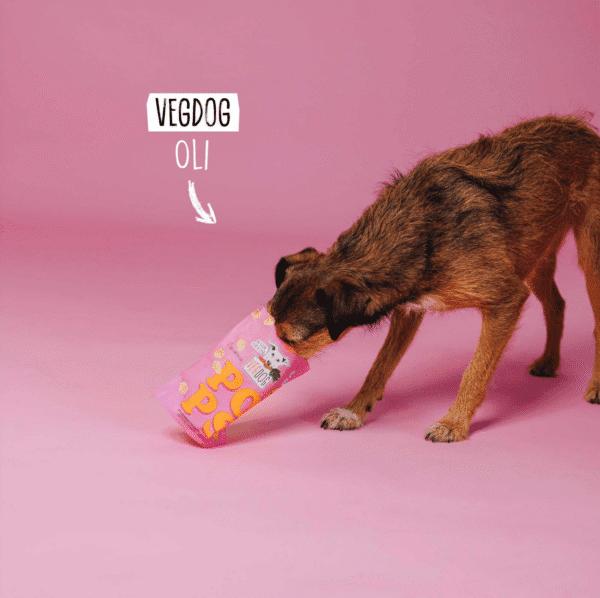 POPS VEGDOG | Snacks veganos bajos en calorías para perros - Imatge 5