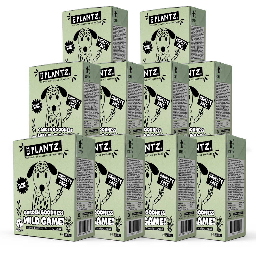 PLANTZ x10 "No-Caza" en salsa para perros 380g - Imatge 3