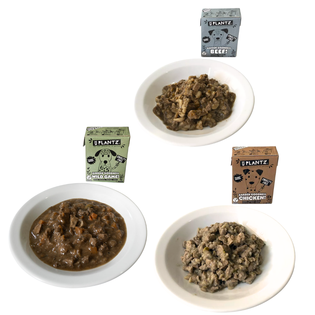 PLANTZ x9 Tetrapaks "No-Pollo/Ternera/Caza" en salsa para perros 380g - Imagen 5