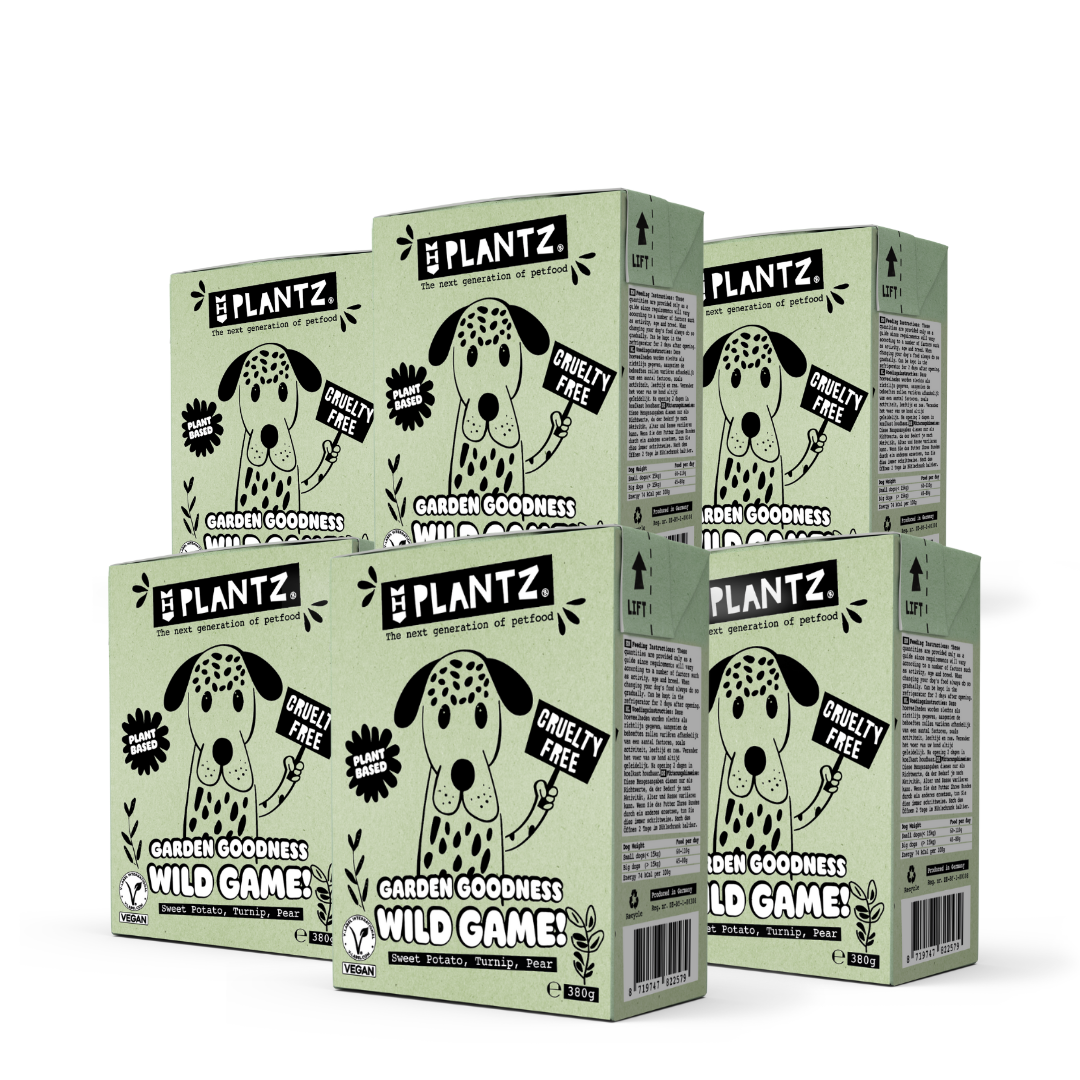 PLANTZ x6 "No-Caza" en salsa para perros 380g - Imatge 2