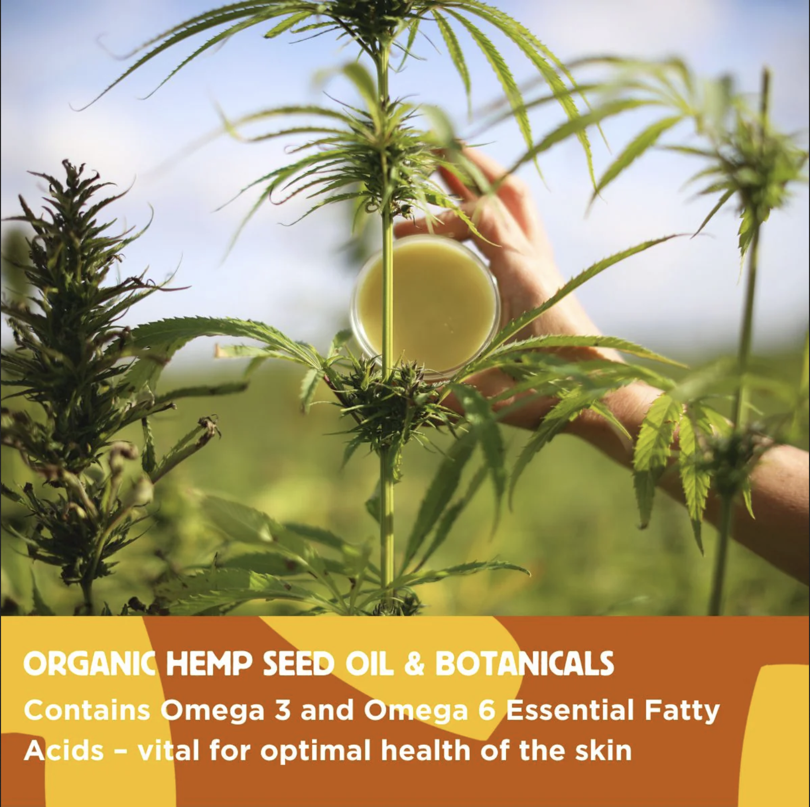 Hownd Bálsamo con aceite de cáñamo para trufa y patas con protección solar - Imagen 4