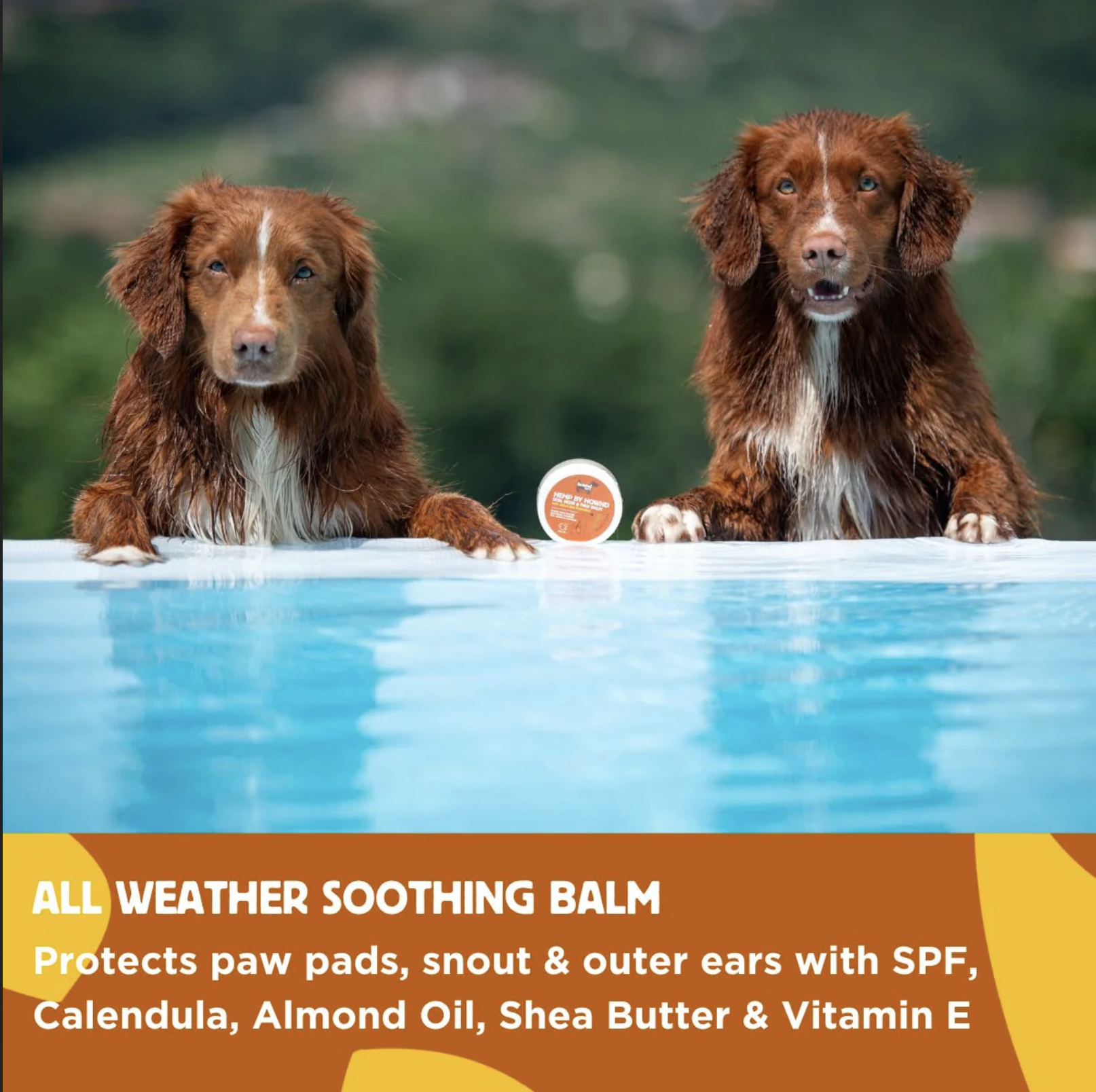 Hownd Bálsamo con aceite de cáñamo para trufa y patas con protección solar - Imagen 6