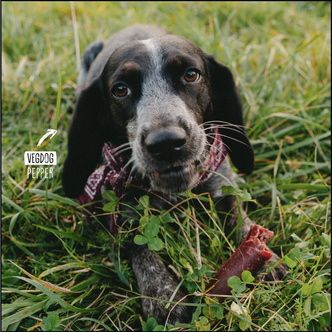 VEGDOG Chevvies Snack XL para perro sabor barbacoa - Imatge 5