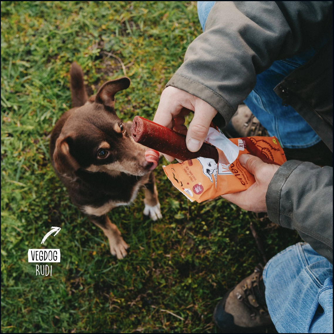 VEGDOG Chevvies Snack XL para perro sabor barbacoa - Imatge 4