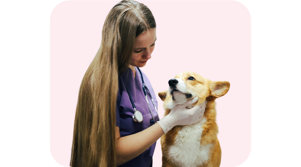 consultas-veterinarias-de-nutrición