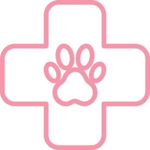 icons-salud-veganuary