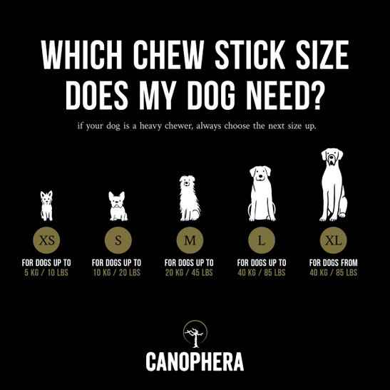 Stick para masticar de madera de olivo para perros - Imagen 5