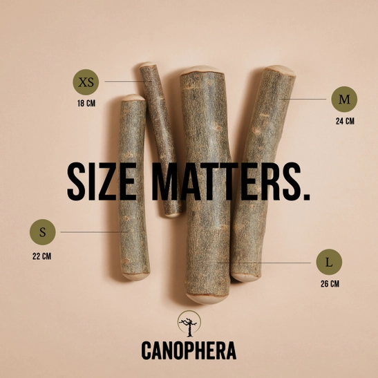 Stick para masticar de madera de olivo para perros - Imagen 4