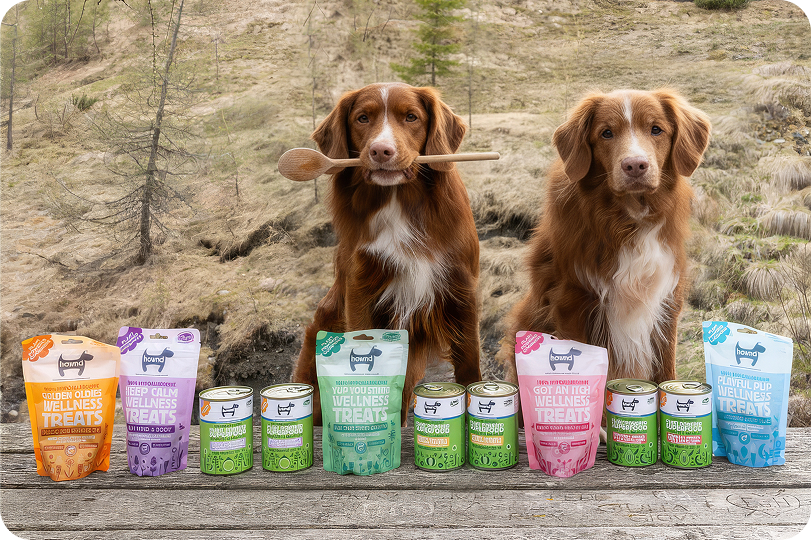 perros con comida HOWND