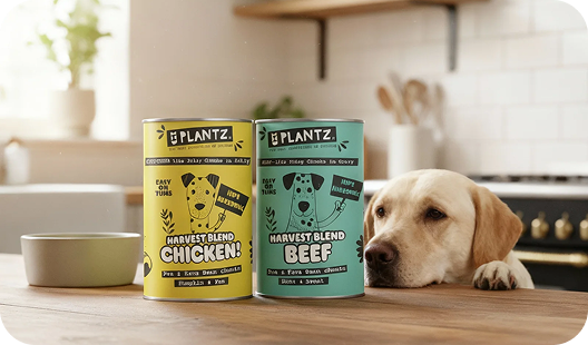 Alimentación Hipoalergénica