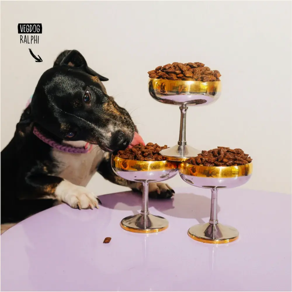 <span class="notranslate">Premios para Perros Pequeños Vegdog Mini Pure Bites: Crujientes y Veganos</span> - Imagen 4