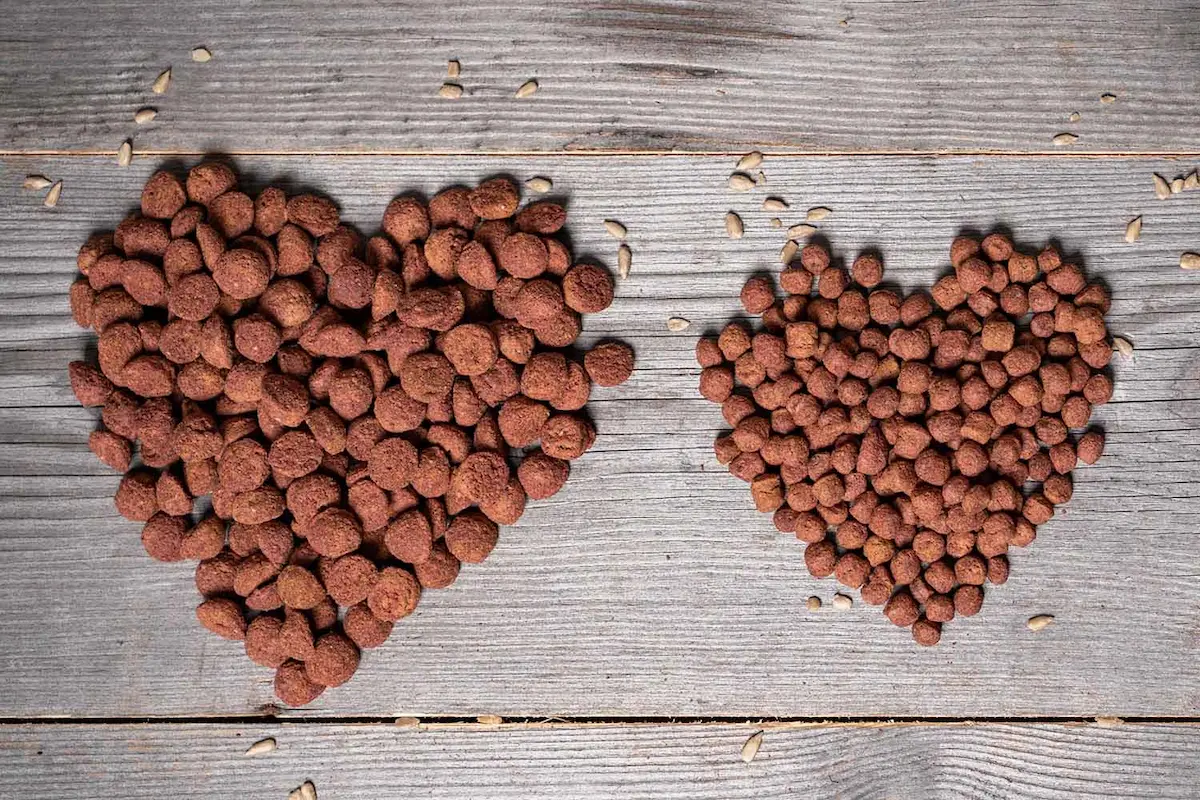 <span class="notranslate">GRETA Pienso Vegano para Perros: Croqueta Mini e Hipoalergénica</span> - Imagen 2
